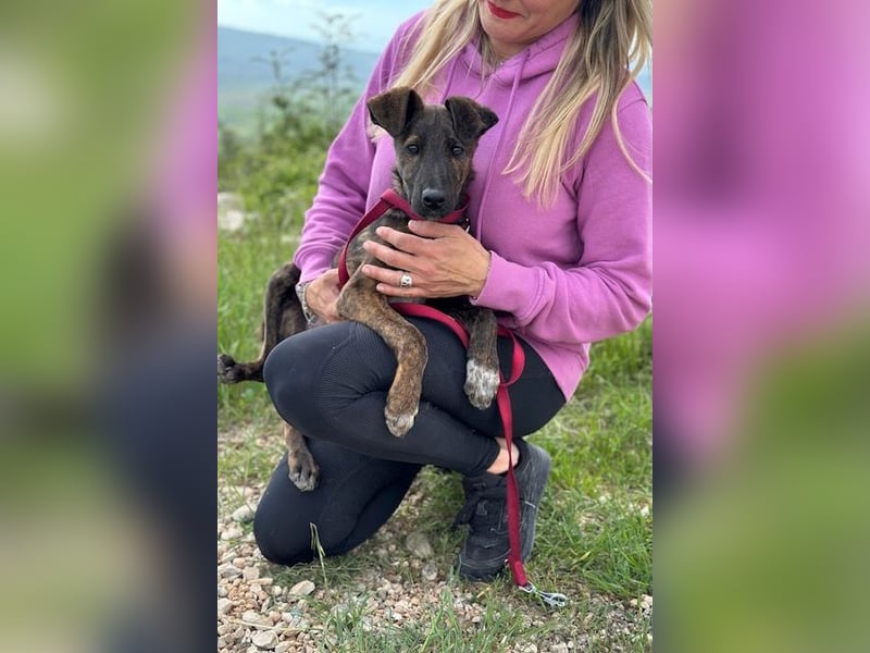 Hoku wünscht sich eine Familie