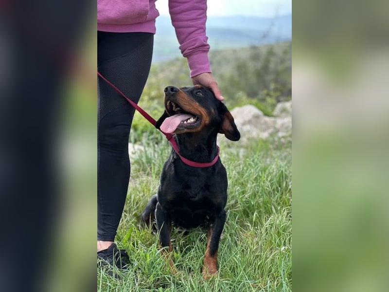 Beaufort - Lieblingsmensch gesucht