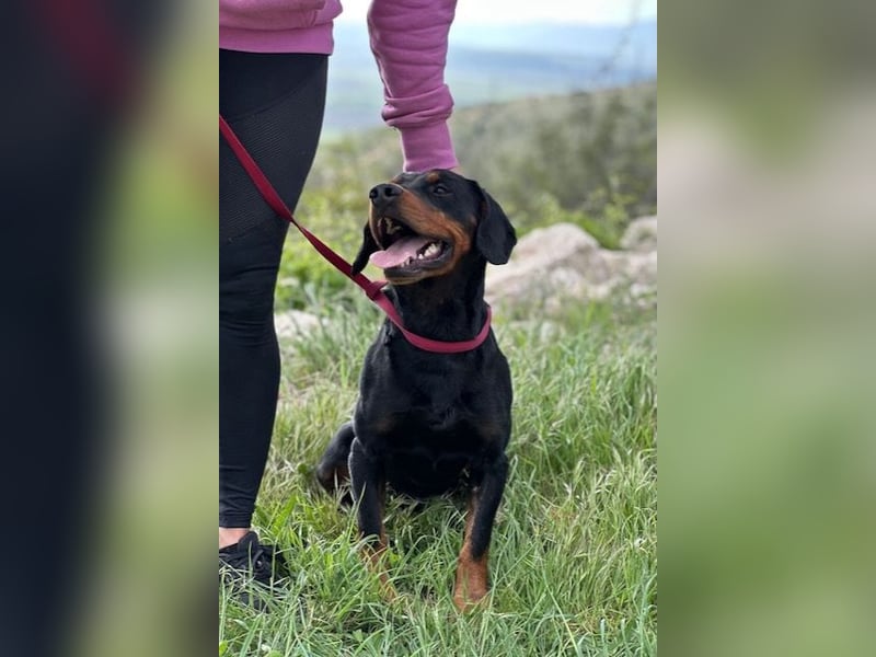 Beaufort - Lieblingsmensch gesucht