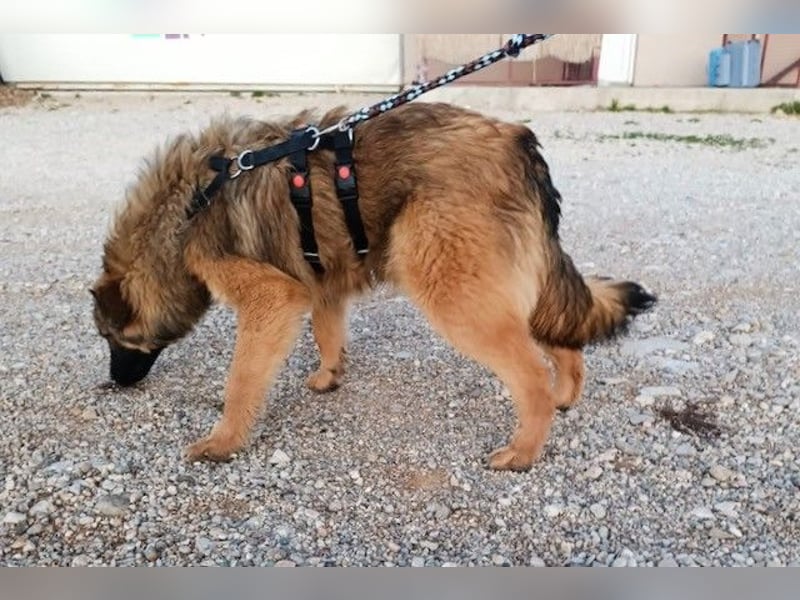 Shakers möchte von dir entdeckt werden