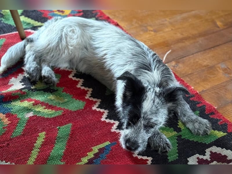 Tobi möchte dich kennenzulernen!