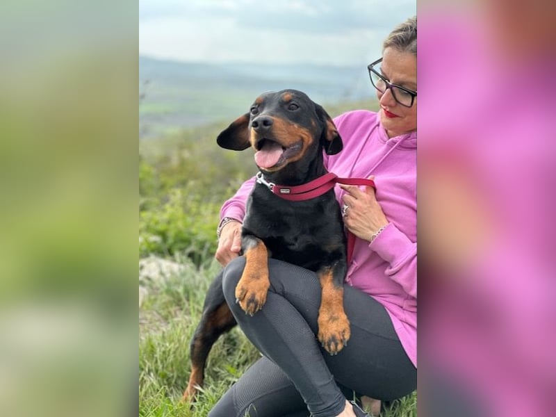 Beaufort - Lieblingsmensch gesucht