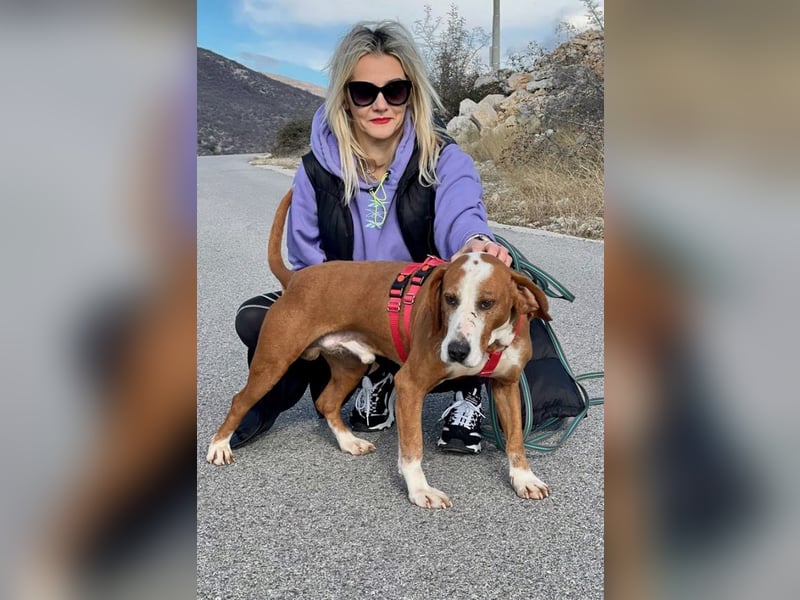 Watson – ein Senior auf der Suche nach Ruhe und Liebe