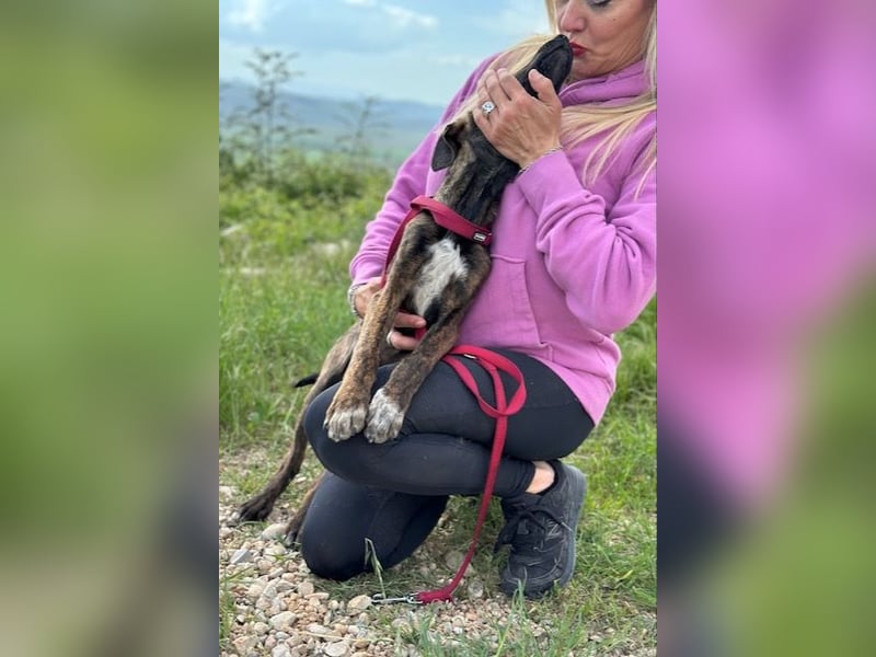 Hoku wünscht sich eine Familie