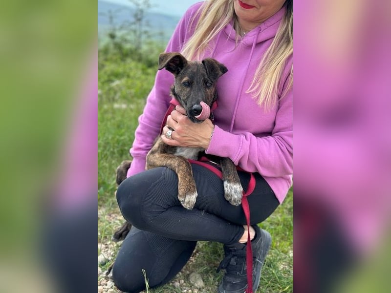 Hoku wünscht sich eine Familie