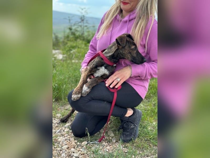 Hoku wünscht sich eine Familie