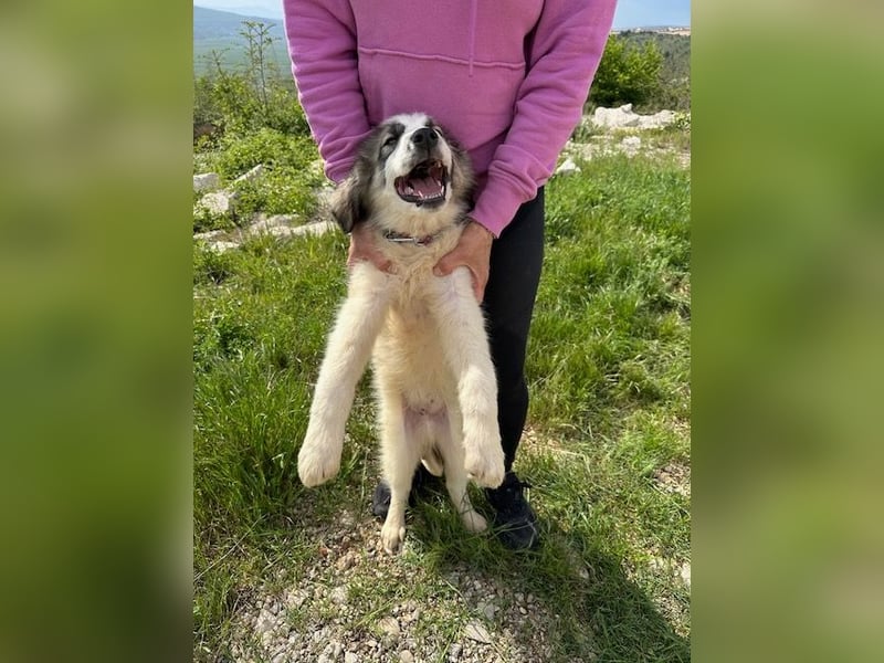 Campino sucht sein großes Glück