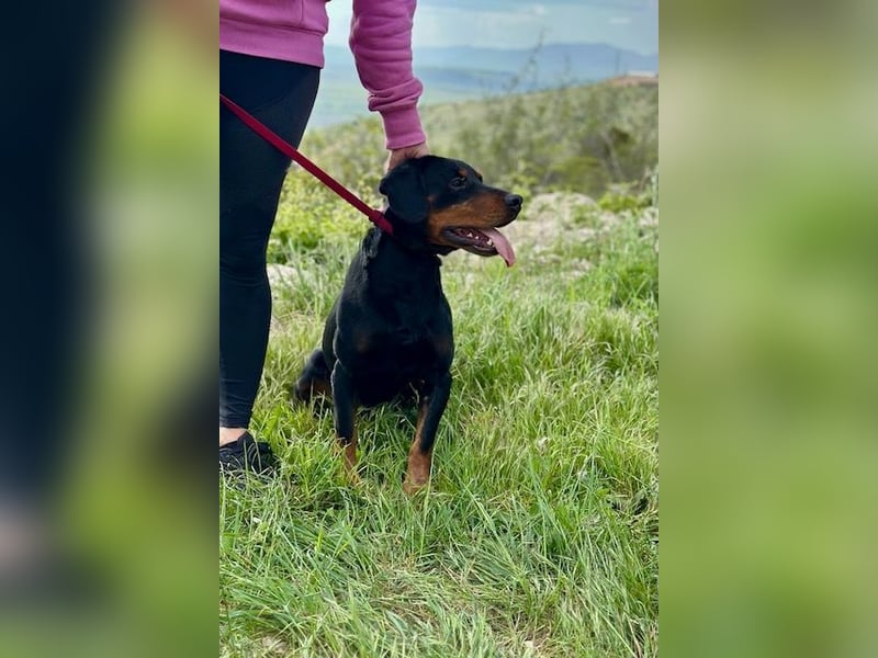 Beaufort - Lieblingsmensch gesucht