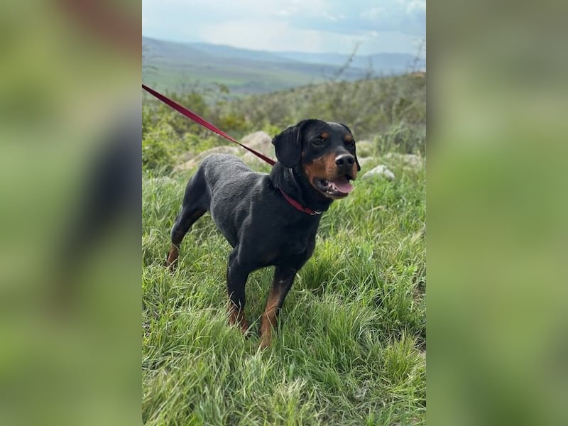 Beaufort - Lieblingsmensch gesucht