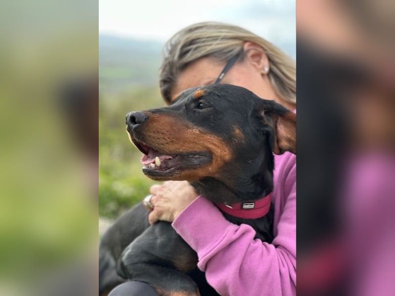 Beaufort - Lieblingsmensch gesucht