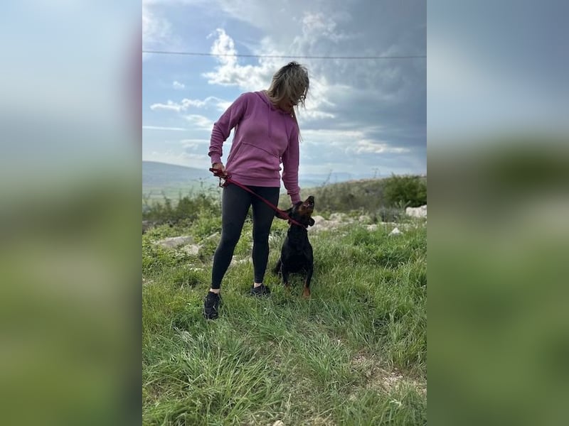 Beaufort - Lieblingsmensch gesucht