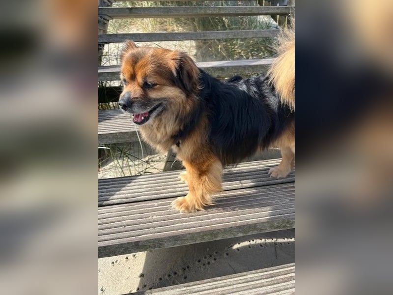 Maks – klein, aber oho! (44869 Bochum)