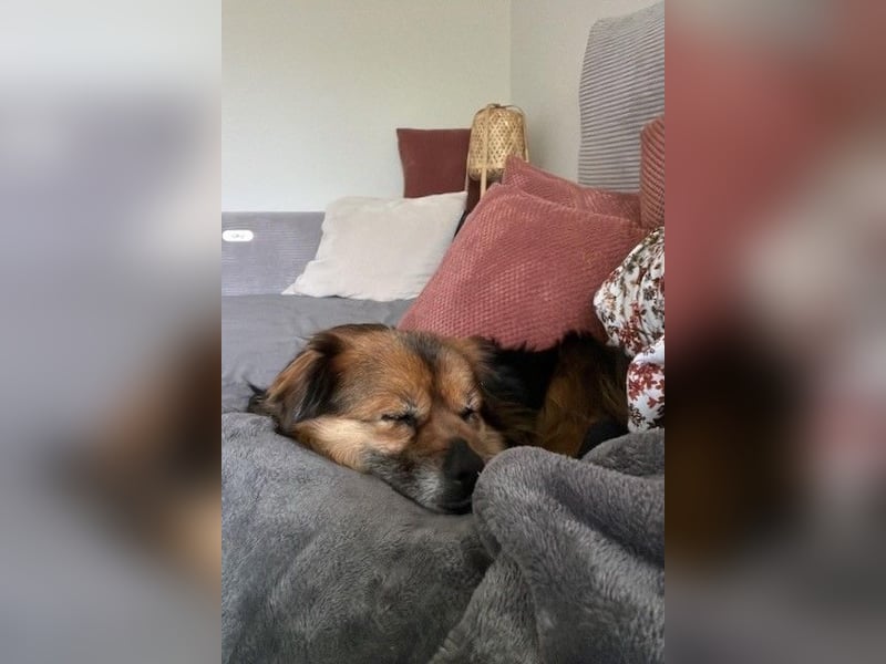 Maks – klein, aber oho! (44869 Bochum)