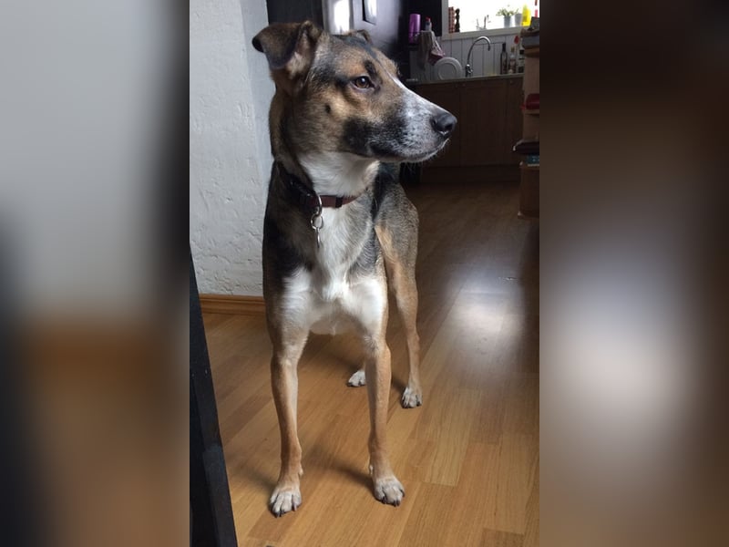Rudi - Klarer Typ sucht klare(n) Partner fürs Leben! (84152 Mengkofen)