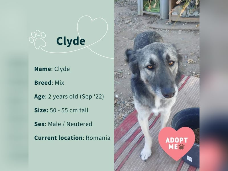 Clyde