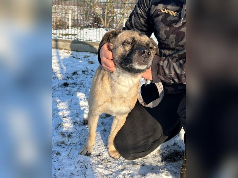 Benedek hat zusammen mit seiner Freundin Patti sein Zuhause verloren !