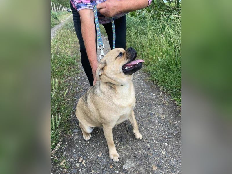 Jedi, geboren 01.01.2023, 45cm sucht sein Zuhause