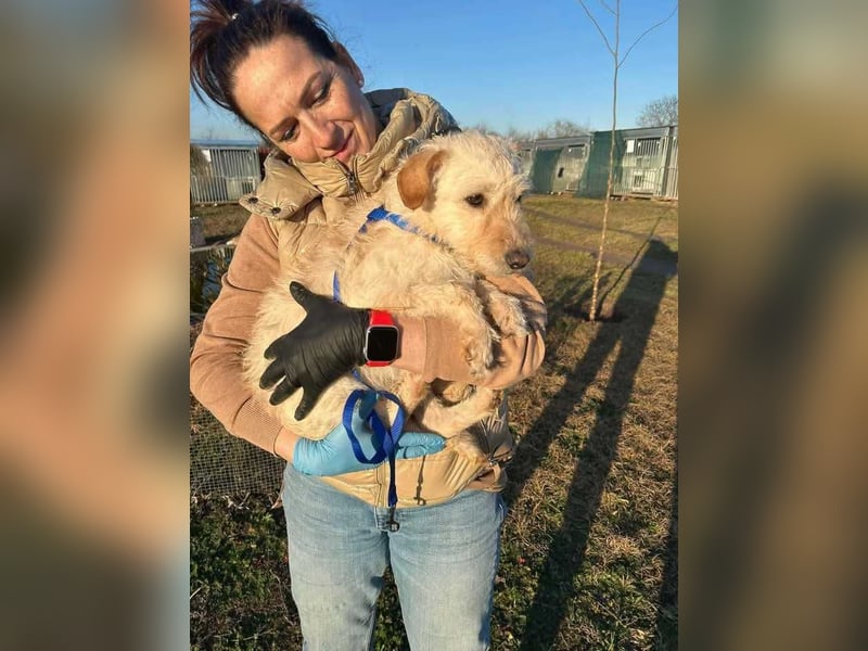 Fredi, 1 Jahr, 35cm sucht sein Körbchen