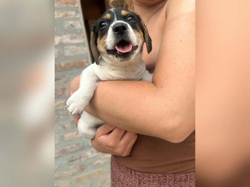 Kevin, geboren 28.07.2025, 19cm sucht sien Körbchen