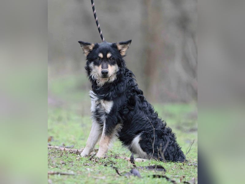 Arthur, geb. 10.03.2024, 48 cm, sucht nach seinen Menschen