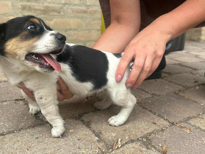 Kevin, geboren 28.07.2025, 19cm sucht sien Körbchen