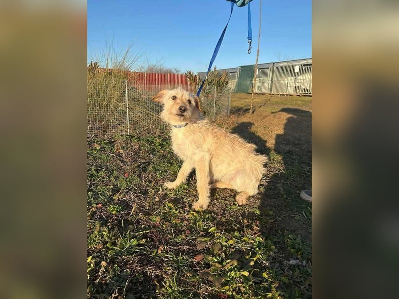 Fredi, 1 Jahr, 35cm sucht sein Körbchen