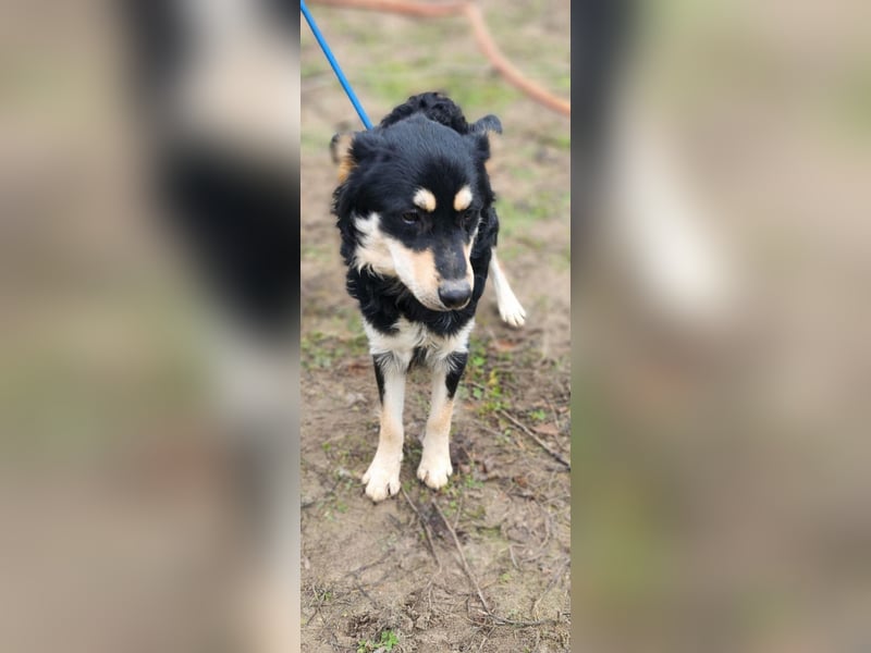 Arthur, geb. 10.03.2024, 48 cm, sucht nach seinen Menschen