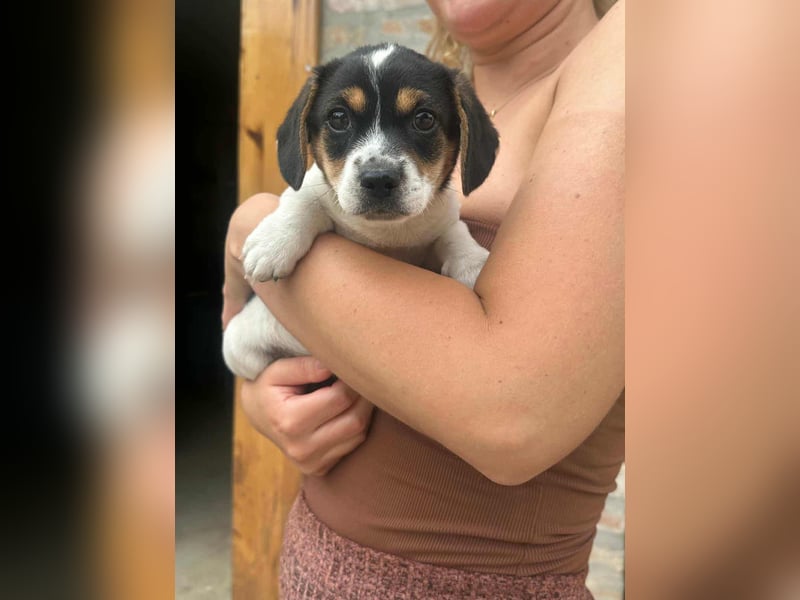 Kevin, geboren 28.07.2025, 19cm sucht sien Körbchen