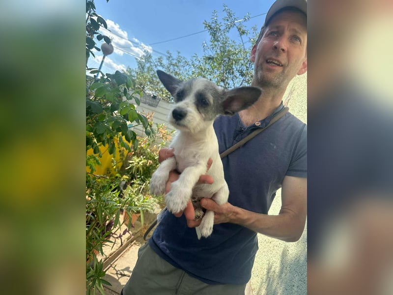 Luke, geboren 30.03.2025, 20cm sucht seine Chance