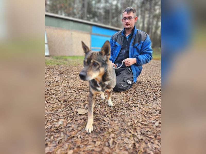 Lacika, 4 Jahre jung, 45 cm, sucht sein Zuhause