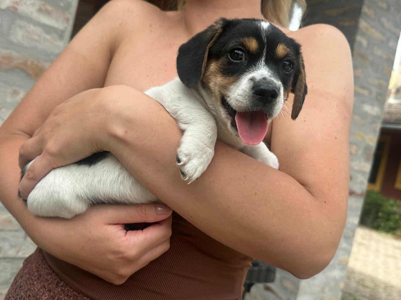 Kevin, geboren 28.07.2025, 19cm sucht sien Körbchen