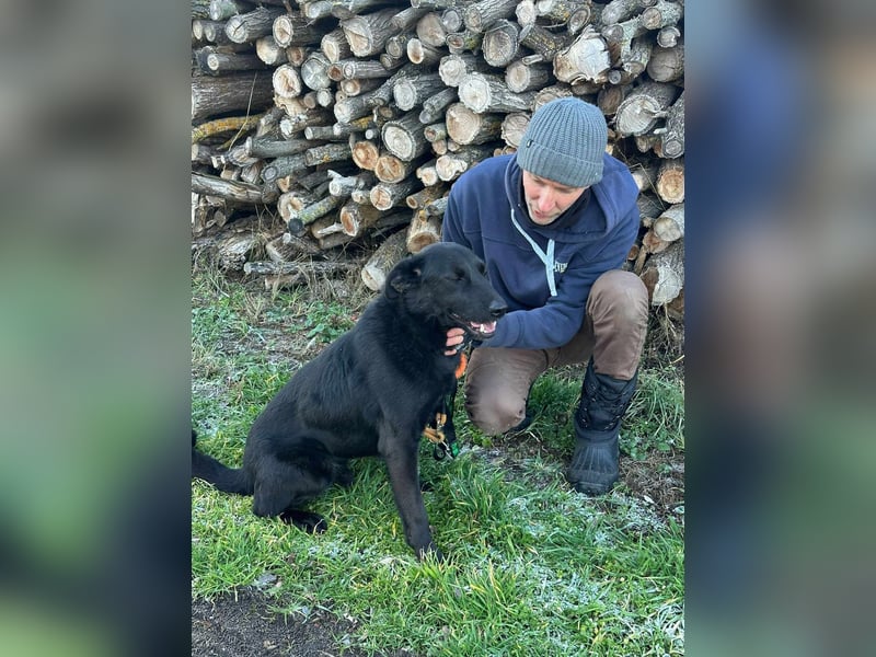 Axel, geb. 01.07.2023, 57cm, sucht seine Menschen