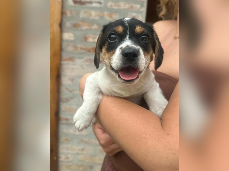 Kevin, geboren 28.07.2025, 19cm sucht sien Körbchen