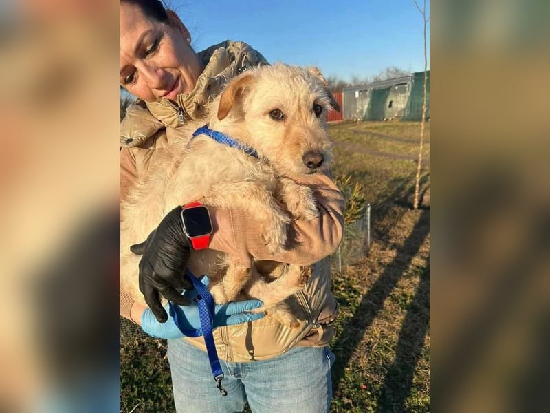 Fredi, 1 Jahr, 35cm sucht sein Körbchen