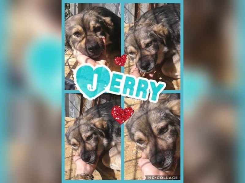 Jerry