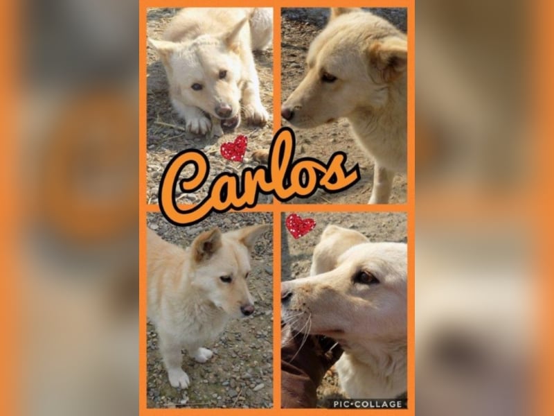 Carlos