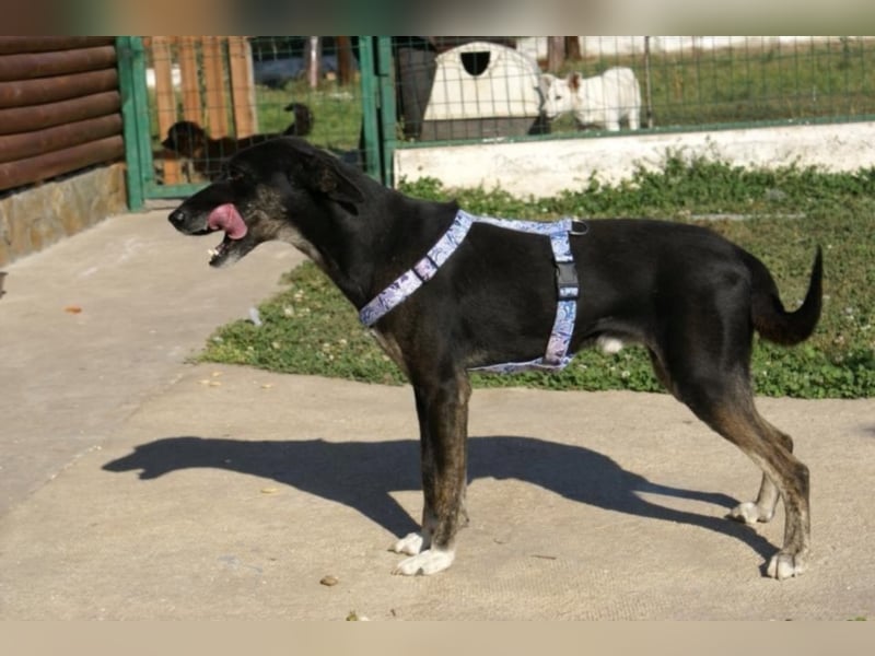 Athos