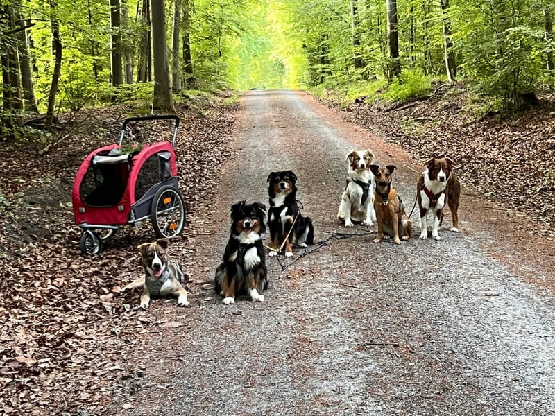 Sonnenschein Valentin sucht seine Familie