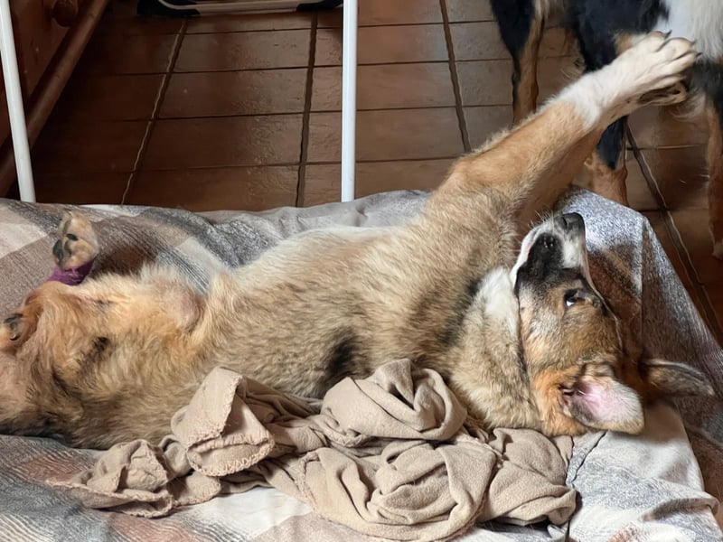 unser Sonnenschein VALENTIN