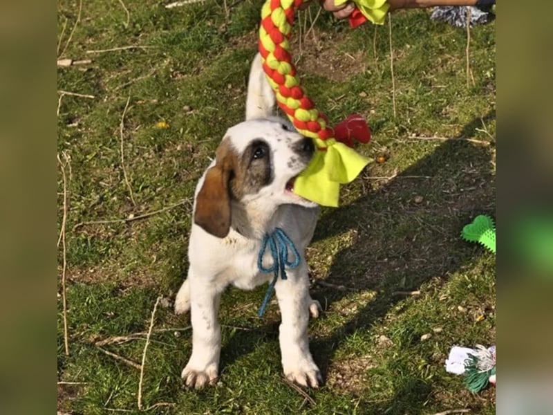 Gary sucht ein passendes Zuhause