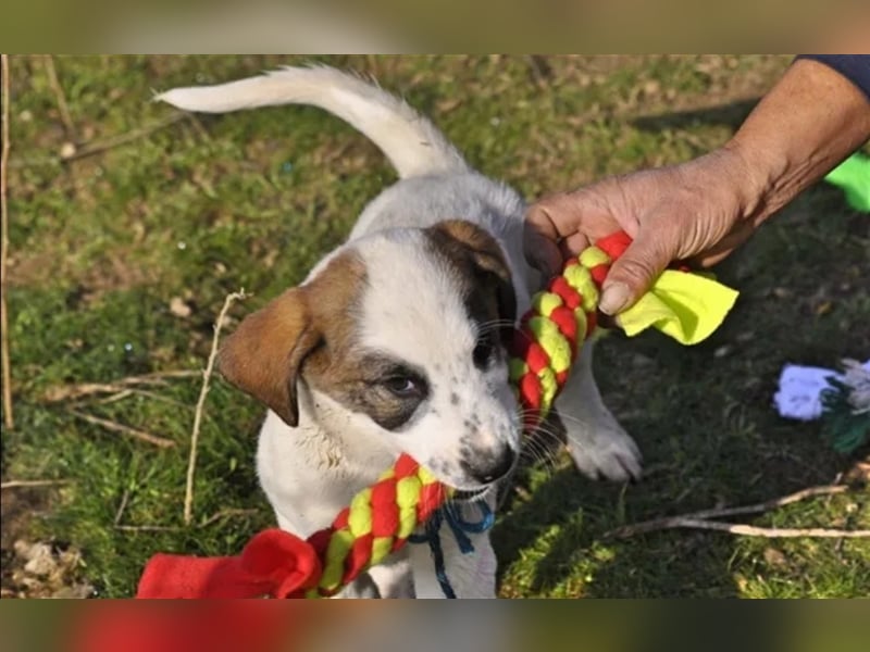 Gary sucht ein passendes Zuhause