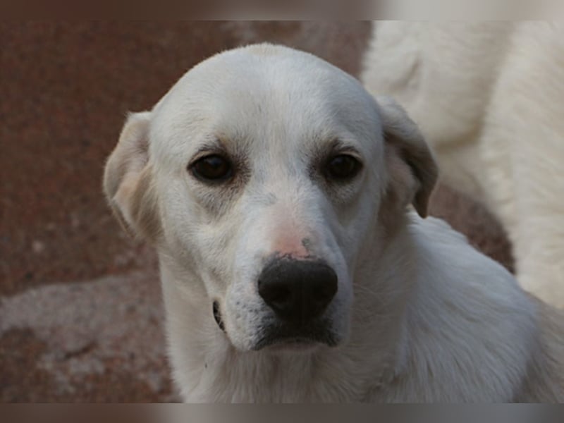 Marco