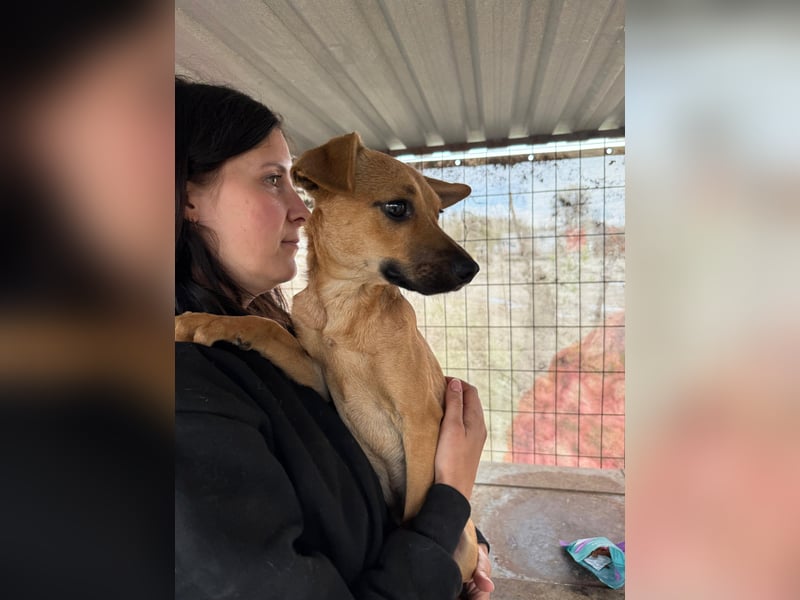 Egon LM – Kleiner Kämpfer mit großem Herzen sucht echtes Zuhause
