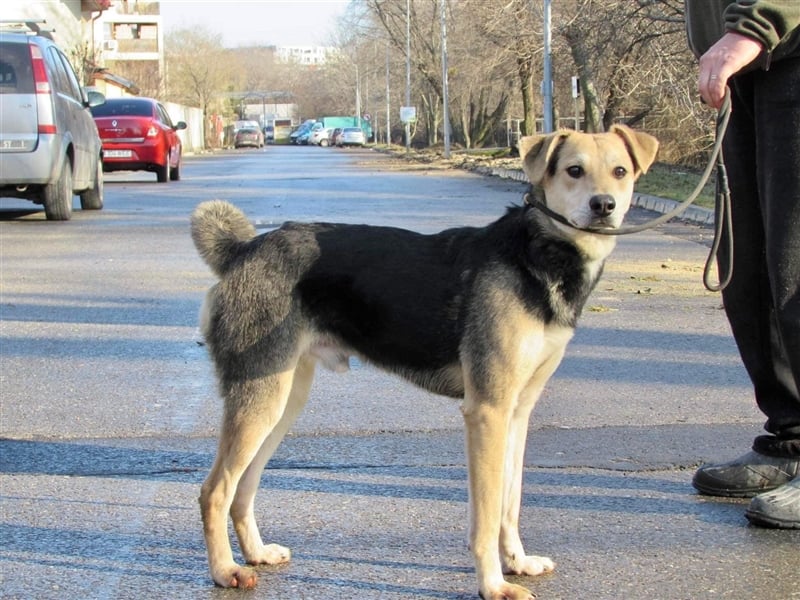 Ilya