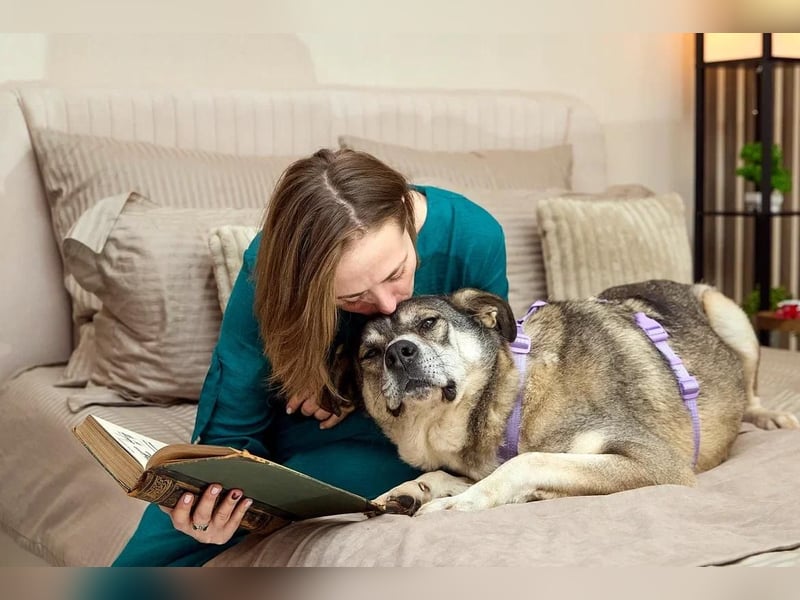Großer sanfter Kusya ❤️ sucht ein liebevolles Zuhause