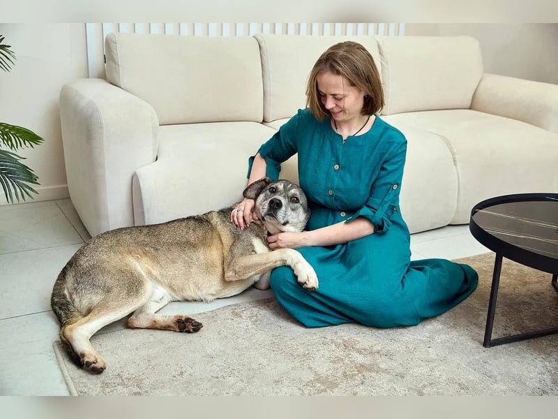 Großer sanfter Kusya ❤️ sucht ein liebevolles Zuhause