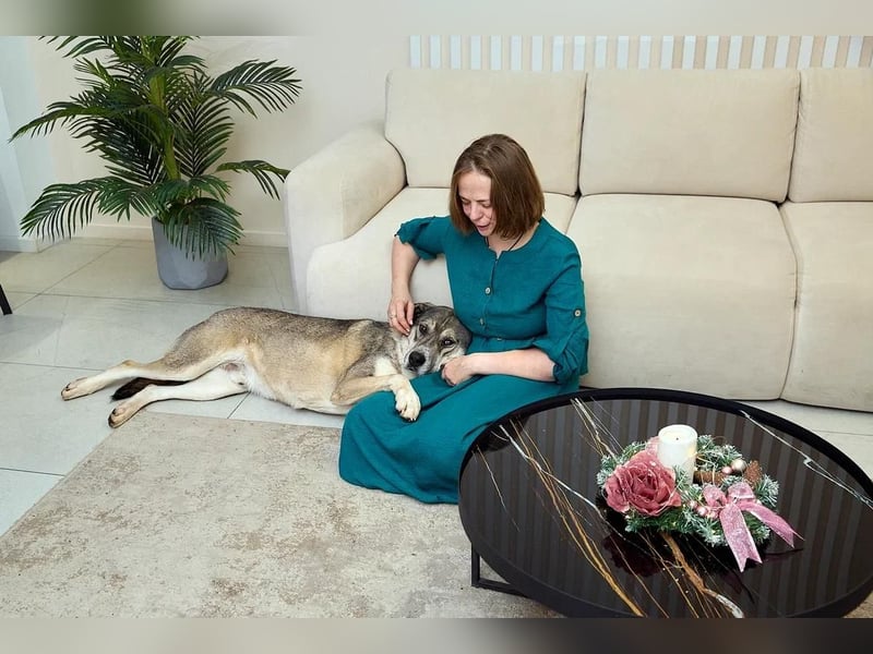 Großer sanfter Kusya ❤️ sucht ein liebevolles Zuhause