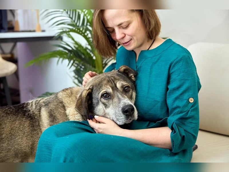 Großer sanfter Kusya ❤️ sucht ein liebevolles Zuhause