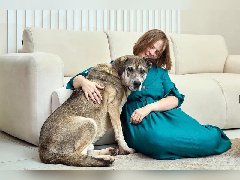 Großer sanfter Kusya ❤️ sucht ein liebevolles Zuhause