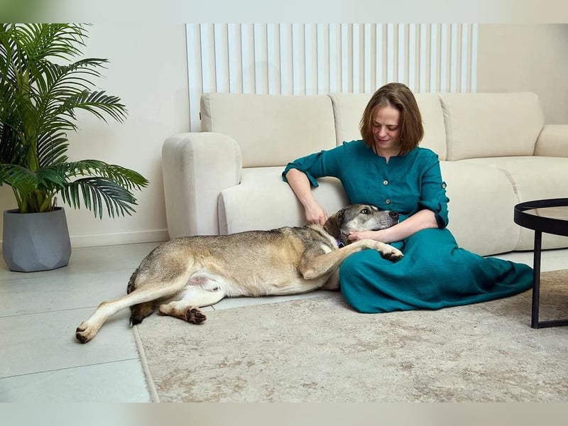 Großer sanfter Kusya ❤️ sucht ein liebevolles Zuhause